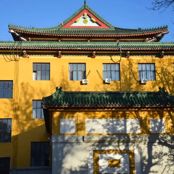 哪里有适合初学者的篮球训练管理指南_0